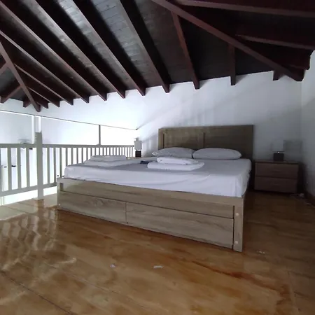 Lionaki House